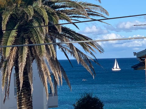 View from front window 