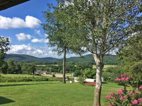 View from the porch in early summer!