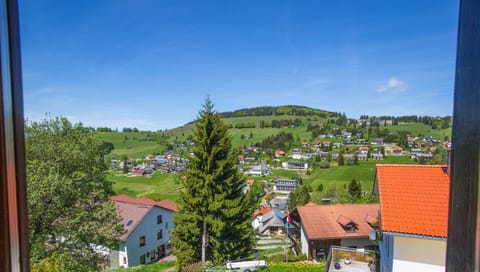 View of summery Todtnauberg from the holiday flat for 8 people