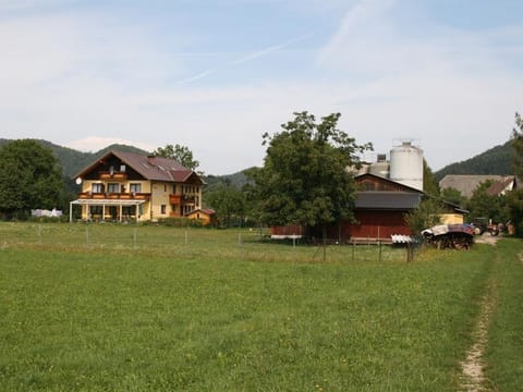 Vierbettzimmer, D/wc, Balkon - Bauernhof-pension Puschnikhof Farm Stay in Carinthia, Austria