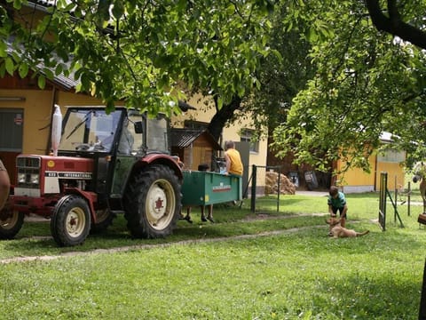 Vierbettzimmer, D/wc, Balkon - Bauernhof-pension Puschnikhof Farm Stay in Carinthia, Austria