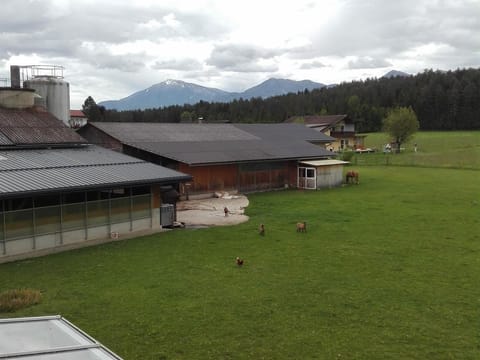 Doppelzimmer,d/wc, Balkon - Bauernhof-pension Puschnikhof Farm Stay in Carinthia, Austria