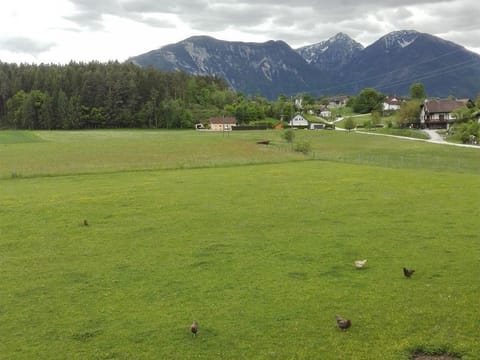 Doppelzimmer,d/wc, Balkon - Bauernhof-pension Puschnikhof Farm Stay in Carinthia, Austria