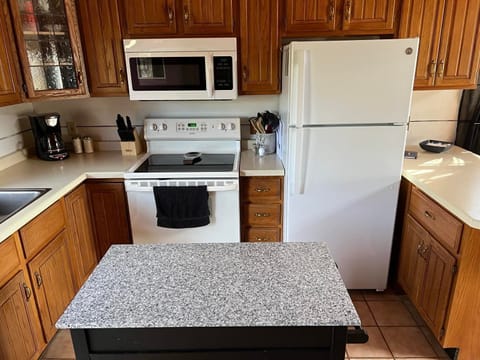 Electric glass surface range