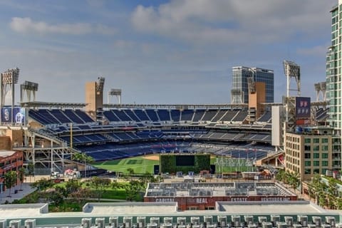 Amazing Petco Park View