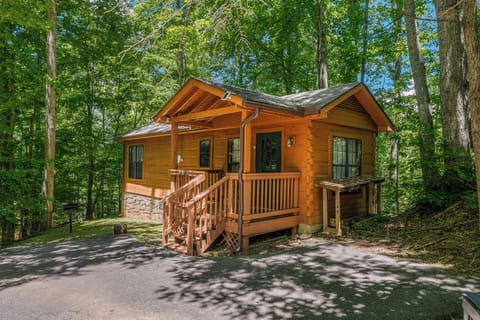 Charming cabin nestled in the Smoky Mountains, just minutes from it all