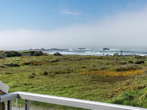 Plant, Water, Property, Furniture, Building, Table, Window, Azure, Chair, Interior Design