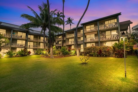 Grass, Tree, Lawn, Palm Tree, Building
