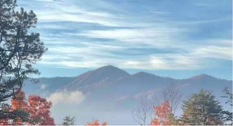 View from driveway.💕