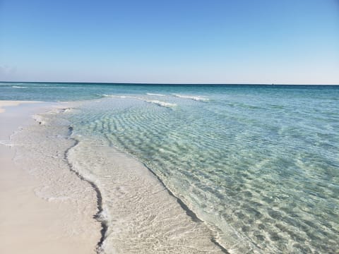 Come to the beach! 
