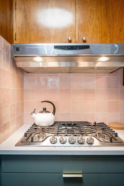 Gas counter-top range