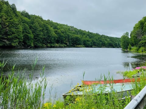 Lake Paradise- 4 minute walk away