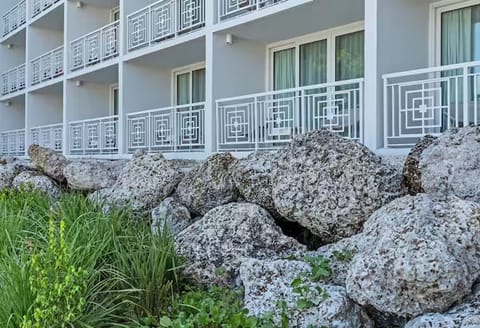 View of the units from the outside.