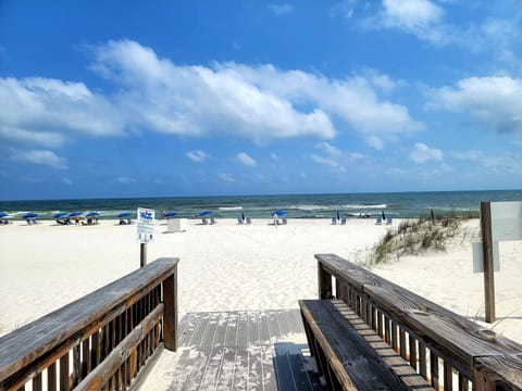 Boardwalk to the beach