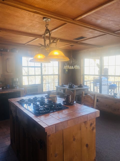 Open concept kitchen and dining 