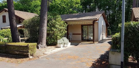 Maisonnette sous les pins