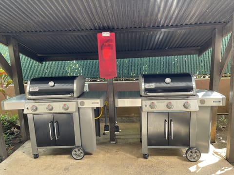 BBQ Grills