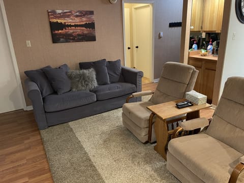 Living room sofa bed couch