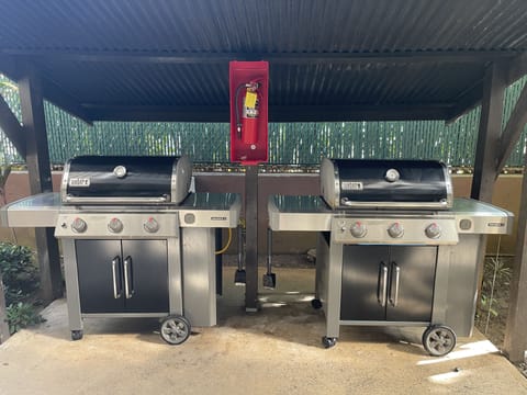 BBQ Grills