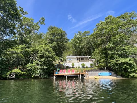 View from the pond