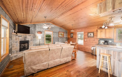 Living Room View from Entry Door