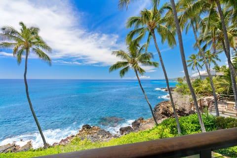 Beautiful Lanai View
