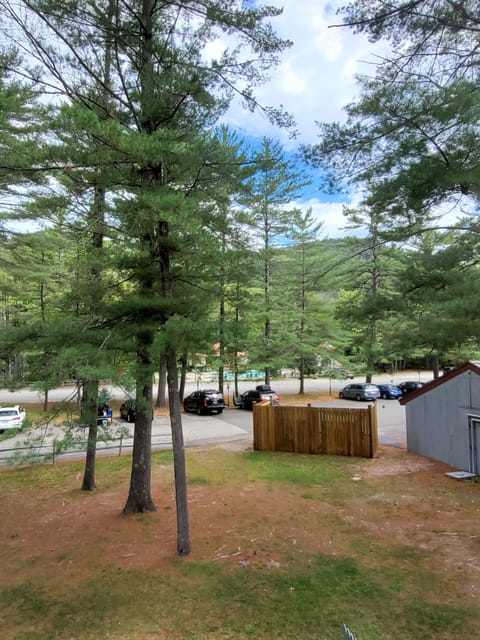 Mountains in the background