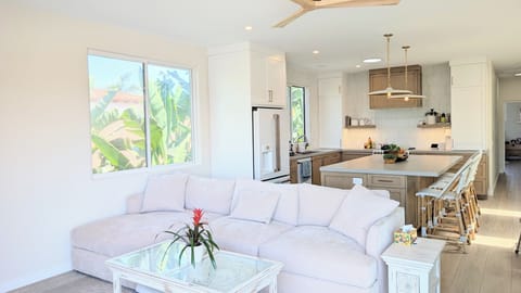 Living room with kitchen behind 