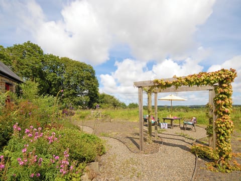 Garden and grounds | Ria&rsquo;s Cottage, Landshipping