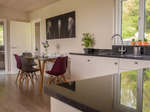 Kitchen area | Barn Owl Lodge - Bechan Retreats, Newtown