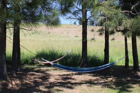 Bring your hammocks to nap under the shade trees.