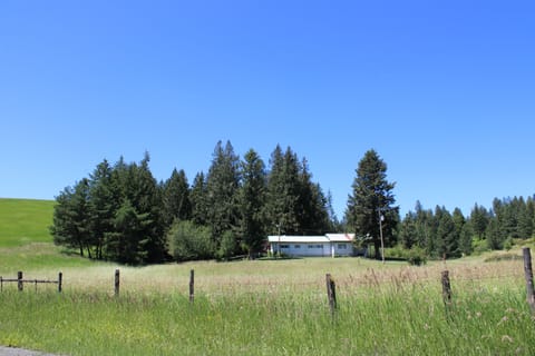 Bear Creek Ranch House