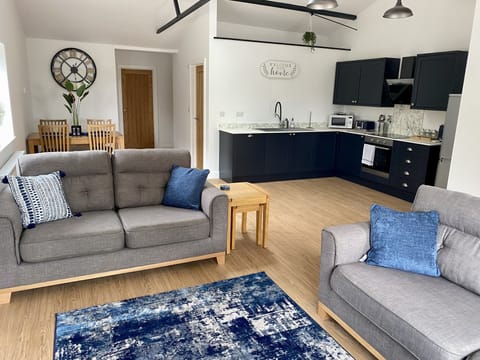 Large open plan living space