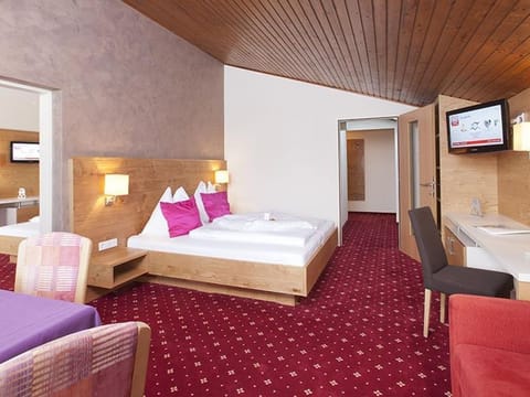 Appartement Typ B - Haus Central Bed and Breakfast in Schladming