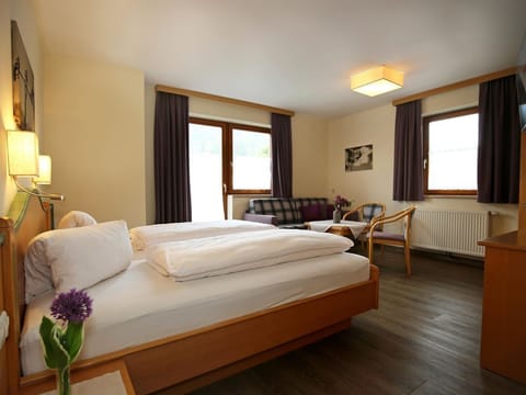 Apartment 4-5 pers./2 bedrooms/shower, WC - Haus Alexander Bed and Breakfast in Schladming