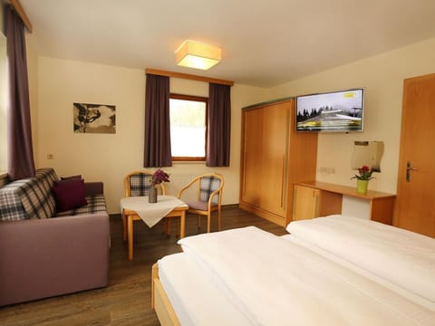 Apartment 4-5 pers./2 bedrooms/shower, WC - Haus Alexander Bed and Breakfast in Schladming