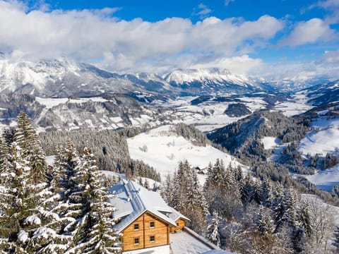 Berghüttn Pruggern, Österreich Cabin in Salzburgerland