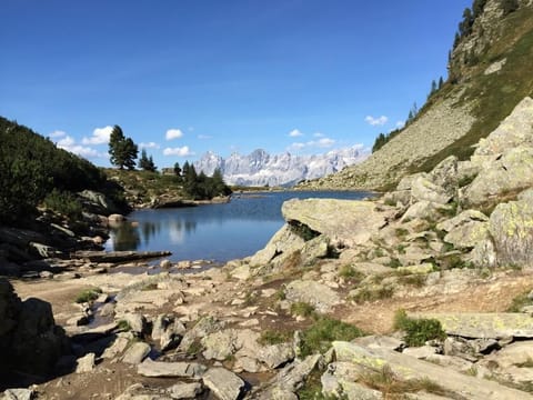 Apartment Heidi, Austria Apartment in Schladming