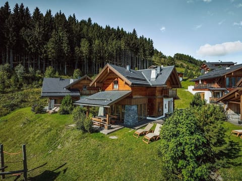 Alpine hut "Erzherzog Johann" - Almdorf Reiteralm Cabin in Schladming