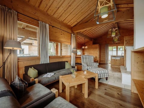 Mountain hut "Bergbaron" - Almdorf Reiteralm Cabin in Schladming