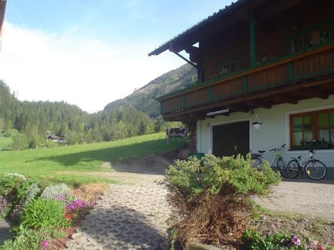 Apartment/1 bedroom/shower, WC - Apartment Sondl Apartment in Schladming