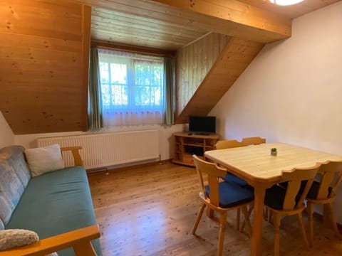 Apartment Planai - Pension Unterfuchs Apartment in Schladming