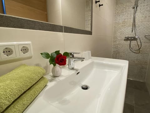 Apartment A /2 room/shower, WC - Dachstein view Bed and Breakfast in Schladming