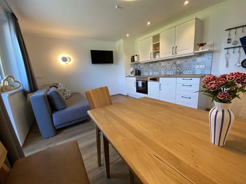 Apartment A /2 room/shower, WC - Dachstein view Bed and Breakfast in Schladming