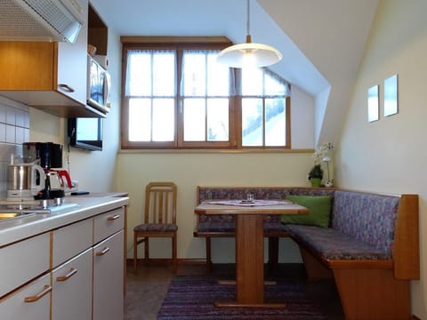 Apartment A / 1 bedroom/bathroom, WC - Apartment Zandl Apartment in Schladming