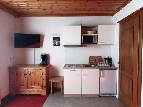 Apartment 8 - Ahlhof Farm Stay in Schladming