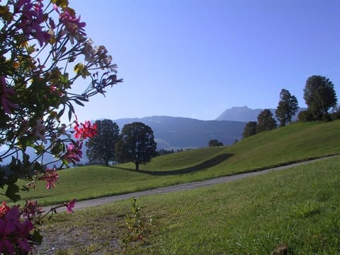 Appartement Waldhorn - Apartment/2 bedrooms/shower, WC Apartment in Schladming