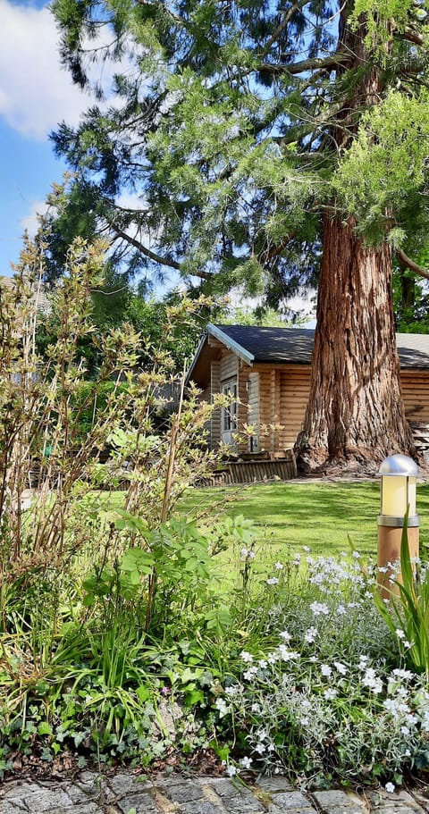 Redwood Lodge