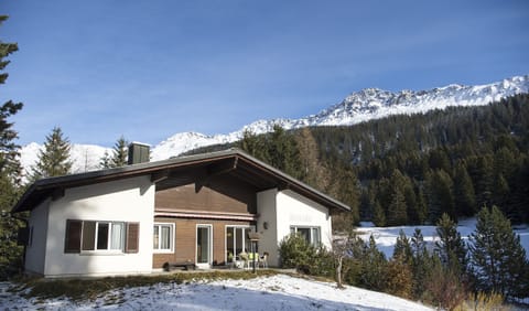 Mistaila residential building