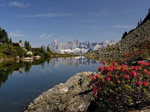 Appartement Helga - Appartement/fewo, Toilette und Bad/dusche Getrennt Apartment in Schladming